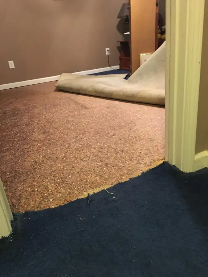 Carpet pad removal revealing water damage during Water Mitigation Services in Headland