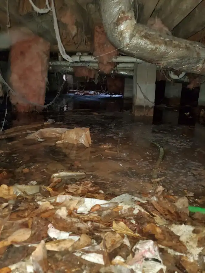Crawl space flood assessment for Commercial Water Damage Restoration in Headland