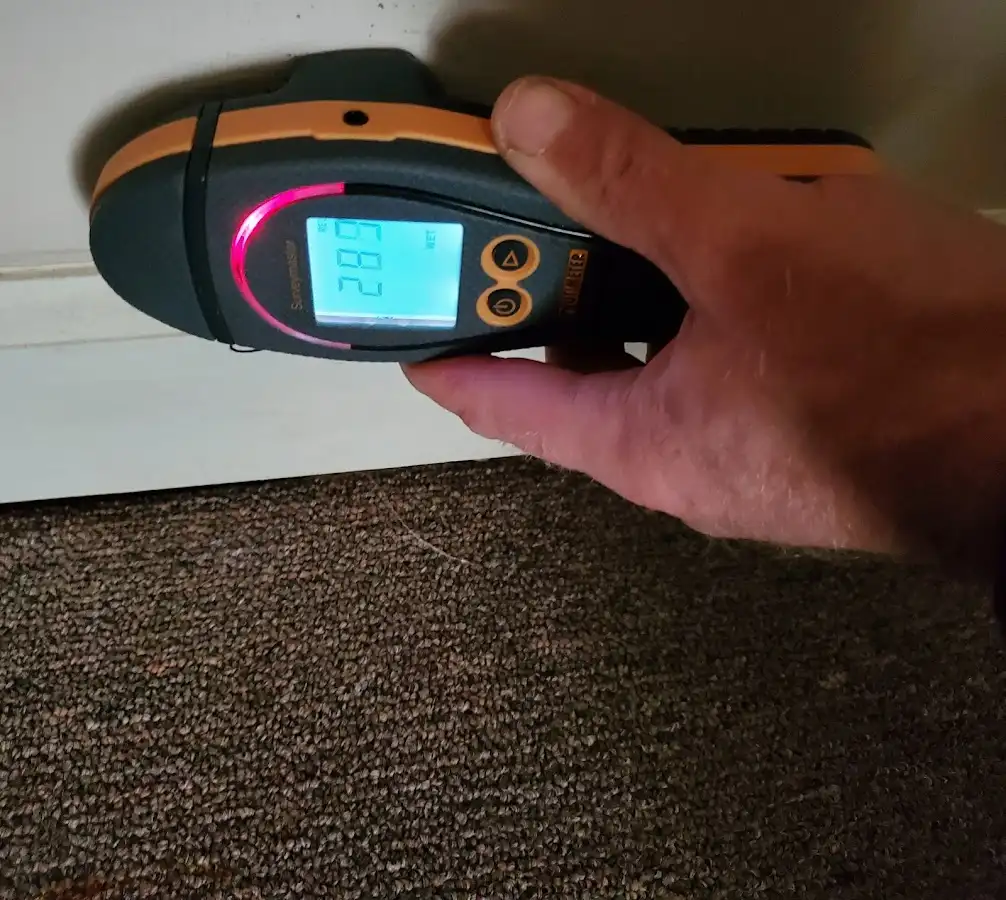 Moisture detection at baseboard during Mold Inspection & Testing in Headland